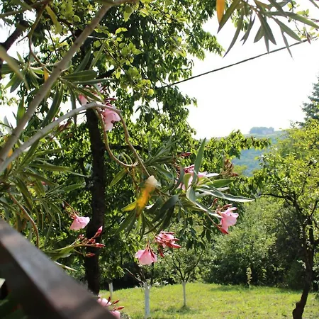 Marley Kuca Za Odmor Apartman Besenovacki Prnjavor
