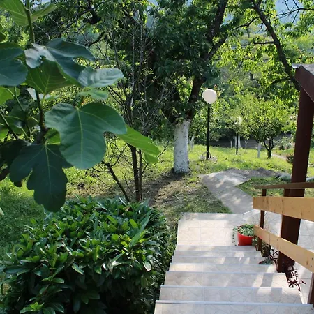 Marley Kuca Za Odmor