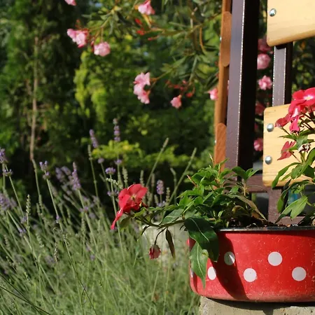 Marley Kuca Za Odmor Apartman Besenovacki Prnjavor