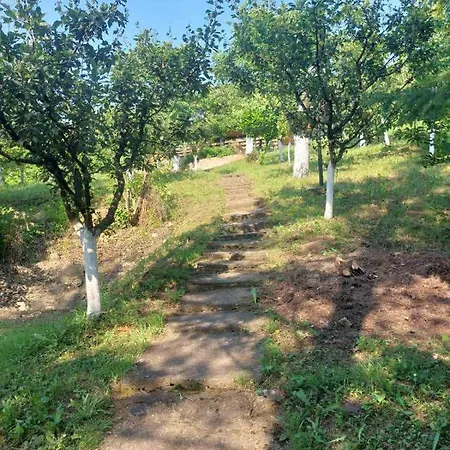 Apartman Marley Kuca Za Odmor *