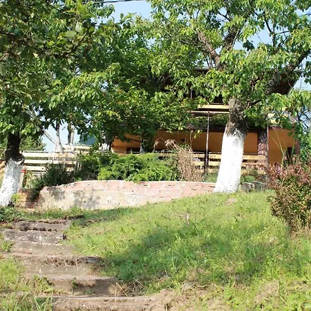 Apartman Marley Kuca Za Odmor Besenovacki Prnjavor