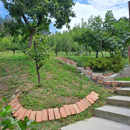 Marley Kuca Za Odmor Besenovacki Prnjavor