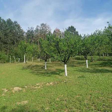 Marley Kuca Za Odmor *