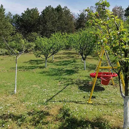 Marley Kuca Za Odmor Besenovacki Prnjavor