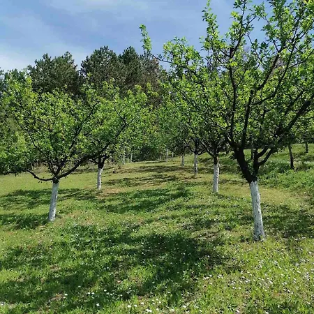Marley Kuca Za Odmor