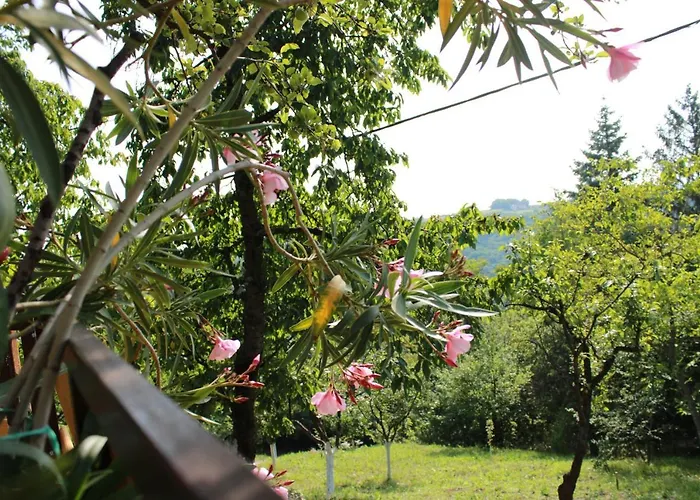 Marley Kuca Za Odmor Apartment Besenovacki Prnjavor