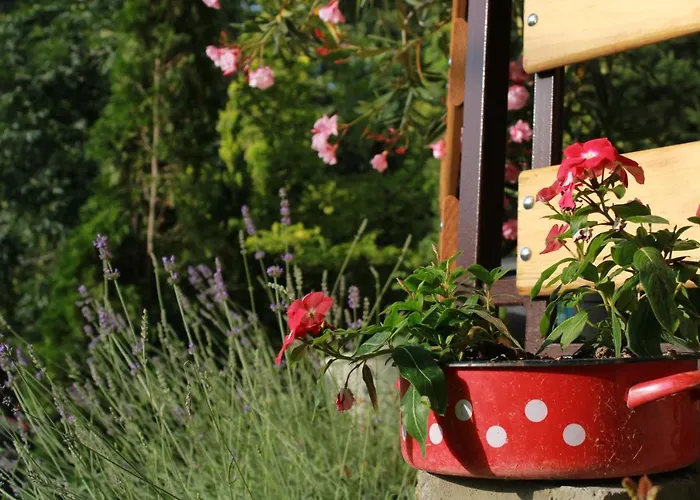 Marley Kuca Za Odmor Apartment Besenovacki Prnjavor