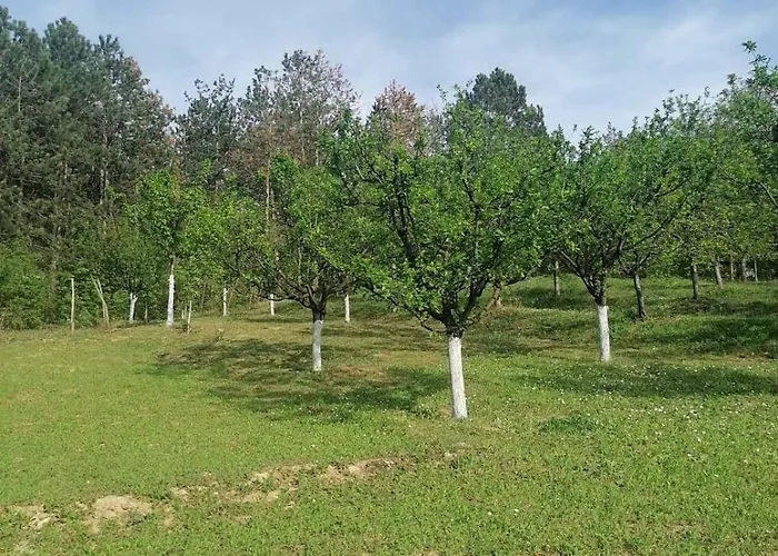 Marley Kuca Za Odmor *