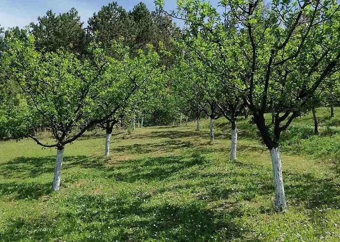 Marley Kuca Za Odmor
